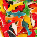 Requins lisse - 100g