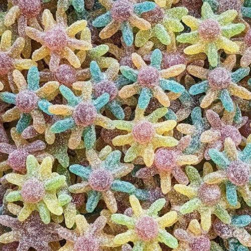 Octopus acidulé - 100g