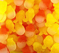 Bonbons Gélifiés Poussin & Oeuf